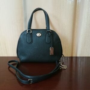 Coach Prince Street Mini Carryall